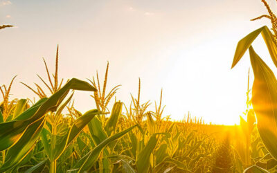 Interparfums support farmers to help them transition to sustainable agriculture