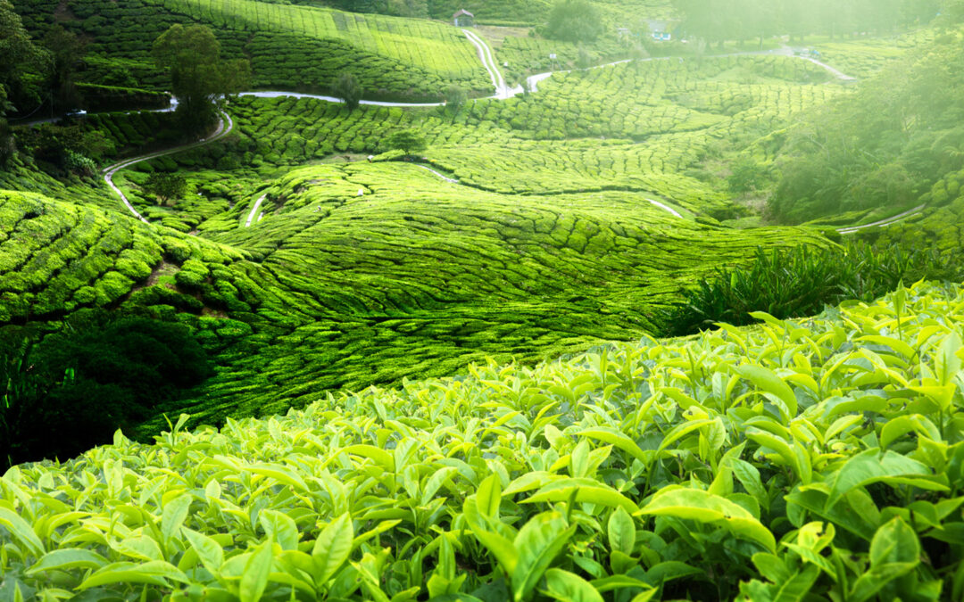 Nouvelle amélioration des notations ESGMSCI – Ethifinance