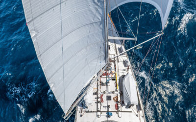 Tara Ocean Foundation