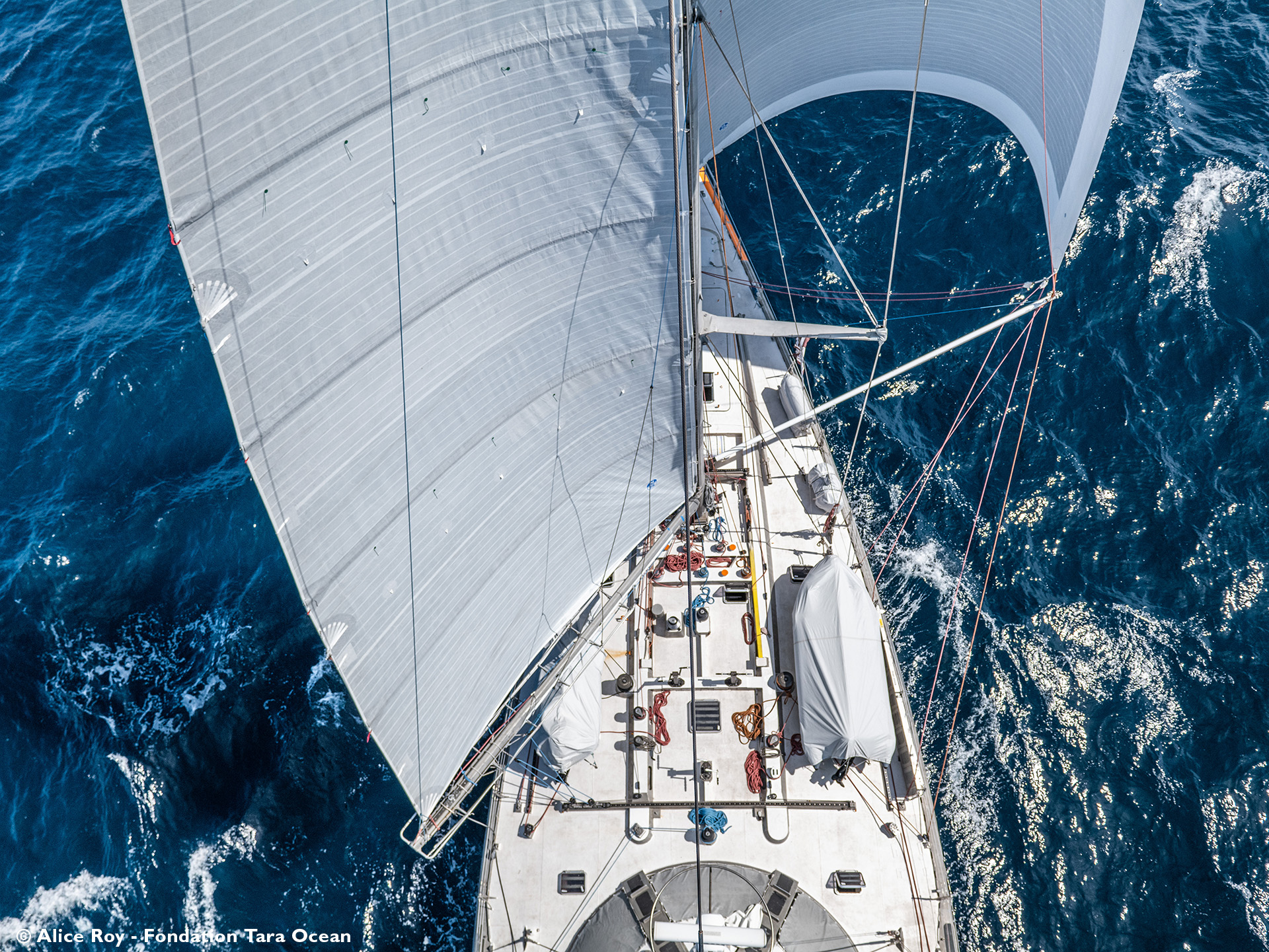 Fondation Tara Océan