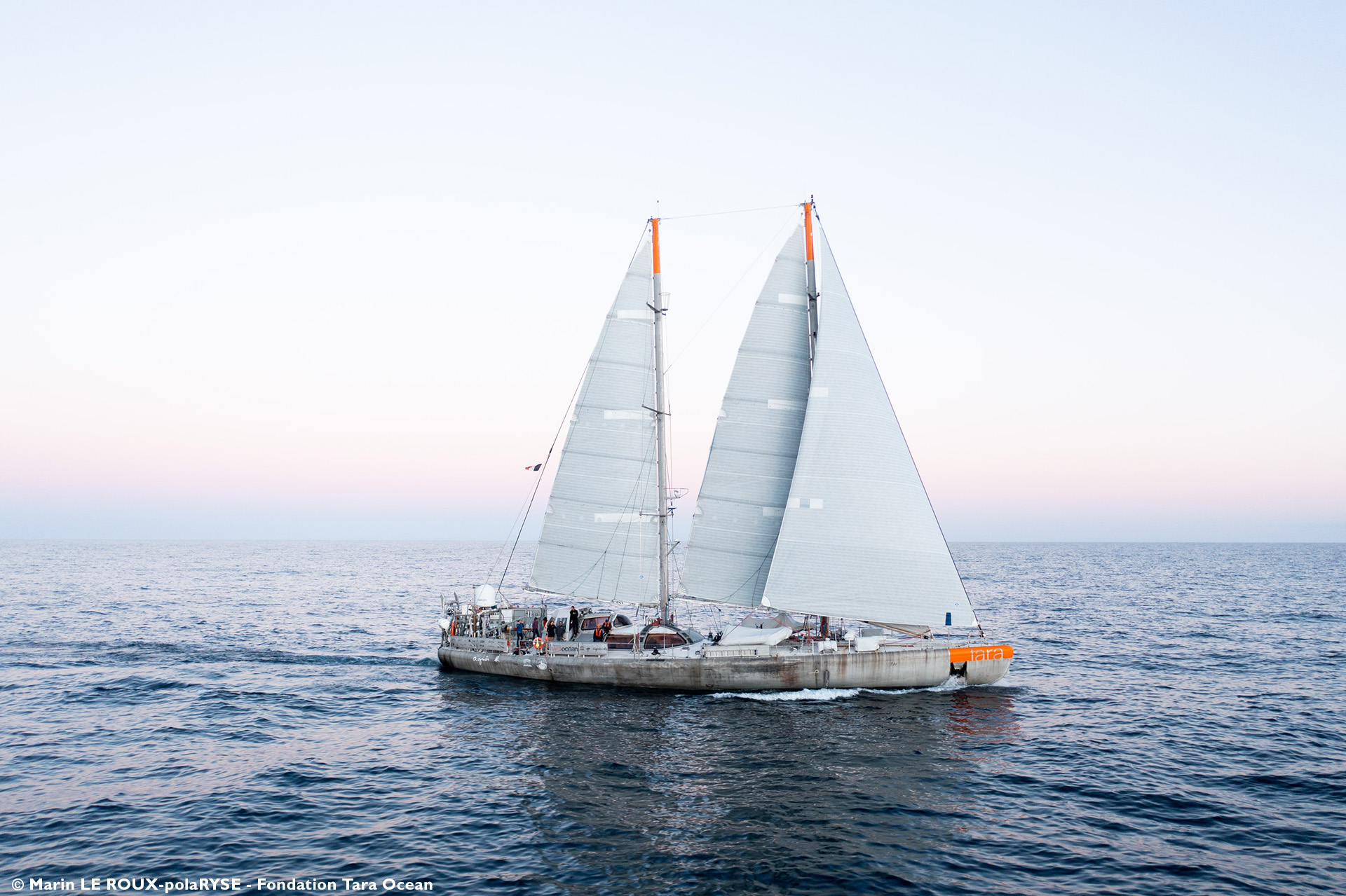 Fondation Tara Océan