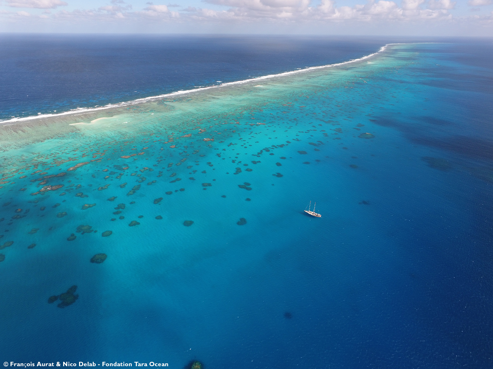 Fondation Tara Océan