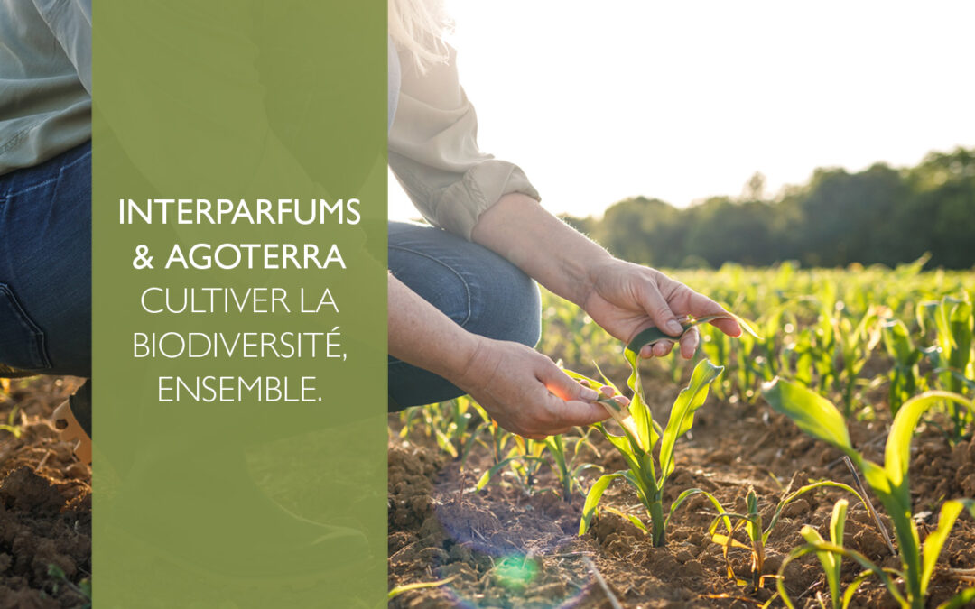 Interparfums & AgroterraCultiver la biodiversité, ensemble.