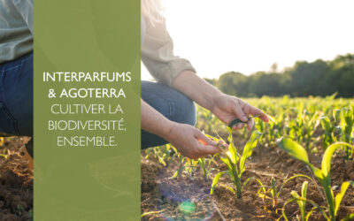 Interparfums & AgroterraCultiver la biodiversité, ensemble.