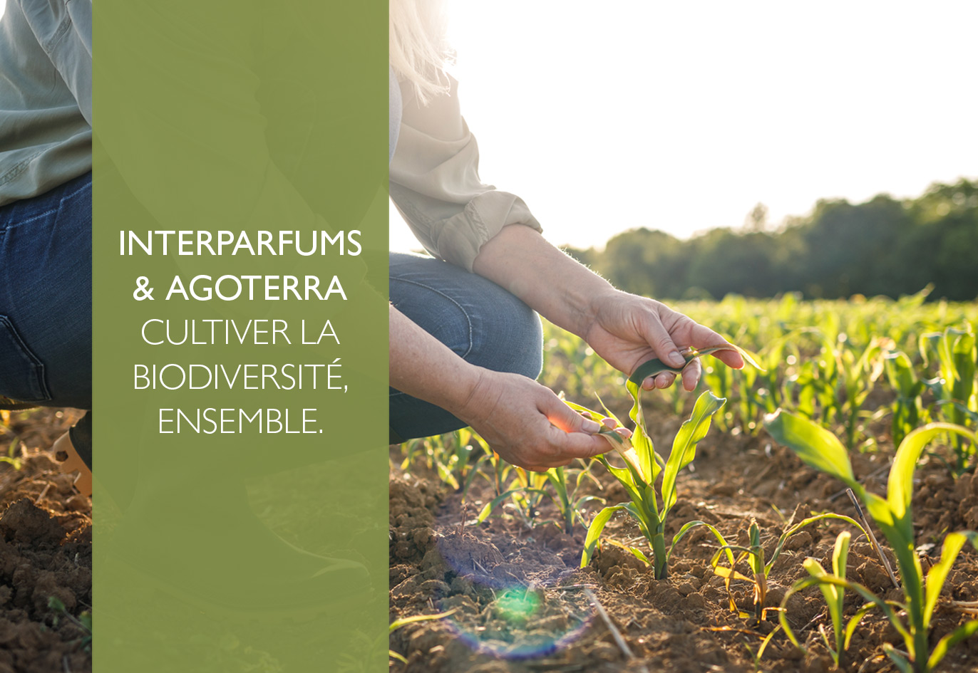 Agoterra-Facebook-Linkedin-fr